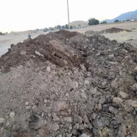 فروش کود گاوی|گل و گیاه طبیعی|کیار, |دیوار