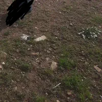 زمین ساختمانی