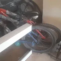 دوچرخه ویوا و گالانت