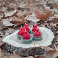 شمع یلدا|صنایع دستی و سایر لوازم تزئینی|بجنورد, |دیوار