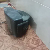 تلویزیون 14سالم|تلویزیون و پروژکتور|سبزوار, باهنر|دیوار