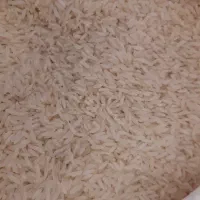 برنج کاظمی میانه