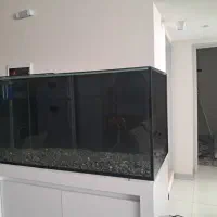 اکواریوم ریملس