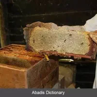 فروش ویژه عسل با ۲۷ سال سابقه کار|خوردنی و آشامیدنی|مشهد, شهید رضوی|دیوار