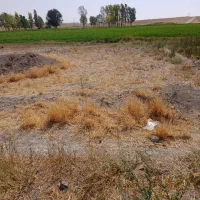 زمین فروش فوری|فروش زمین و ملک کلنگی|بستان آباد, |دیوار