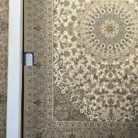 فروشگاه فرش توحیدی سقز|فرش|سقز, |دیوار