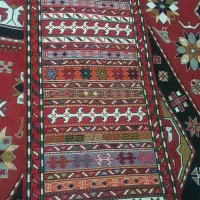 ورنی