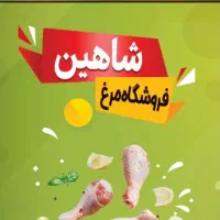 شنیسل مرغ فیله ران کتف بال شینسل ماهیچه ساق