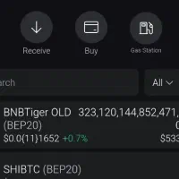 میم کوین bnbtiger