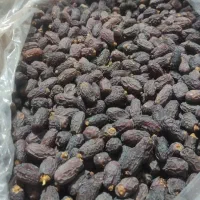 راننده باهرماشین حتی پیکان ماهی۴۰تمن برا شهرستان|استخدام حمل و نقل|تهران, نیلوفر|دیوار