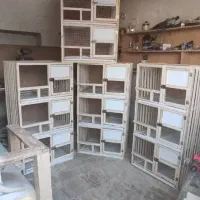 قفس جفتگاه|لوازم جانبی حیوانات|داراب, |دیوار