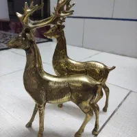 گوزن ایستاده برنج