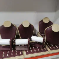 مانکن چرمی، دیس انگشنر