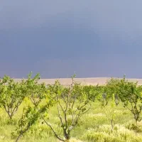 زمین-400-متری-سهیلیه-دولت-آباد