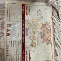 فرش ۶ متری ۱۲۰۰ شانه کوروش مثل روز اول|فرش|رشت, نیروی دریایی|دیوار