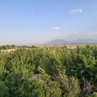 باغ و استخر و سوییت