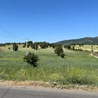 زمین کشاورزی با دهنه جاده اصلی