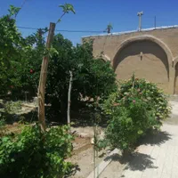 خانه ویلایی جهاد اباد شاهین شهر|اجارهٔ کوتاه‌مدت آپارتمان و سوئیت|شاهین‌شهر, برخوار غرب|دیوار