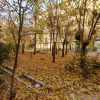 خط دائمی ۹۱۲.با کد صفر