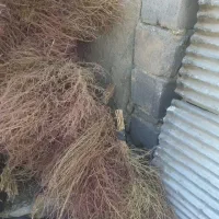 جارو...|لوازم نظافت|بلبان آباد, |دیوار