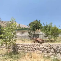 فروش باغ و خانه باغ. دارای نسق.|فروش خانه و ویلا|سیسخت, |دیوار