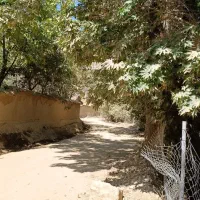 کلبه و باغ اختصاصی اقاجون|اجارهٔ کوتاه‌مدت ویلا و باغ|سپیدان, |دیوار