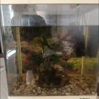 فروش فوری اکواریوم و تجهیزات