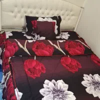 روتختی تمیز سالم ونو