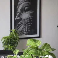 نقاشی سیاه قلم کوروش هخامنش  ۱۰۰ در ۷۰