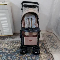 کالسکه دلیجان درحدنونو