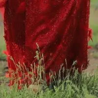مربی برای رقص