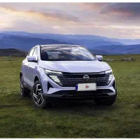 نیسان قشقایی خشک مدل ۲۰۲۵