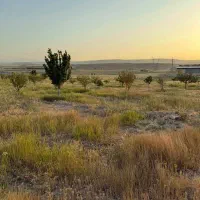 زمین زراعی|فروش زمین و ملک کلنگی|بستان آباد, |دیوار