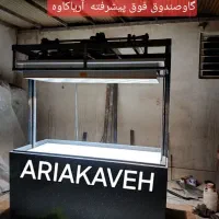 فروش گاوصندوق آسانسوری طلا فول آپشن