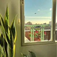 منشی مجموعه روانشناسی