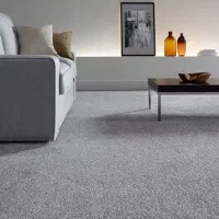 فروش.. ویژه پالاز..|موکت|بهبهان, |دیوار