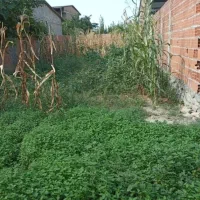 زمین خانه سری|فروش زمین و ملک کلنگی|نوکنده, |دیوار