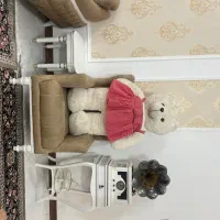 شاسخین|اسباب‌بازی بچه|چناران, |دیوار