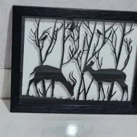 قاب عکس