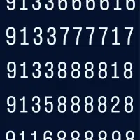 09130303090