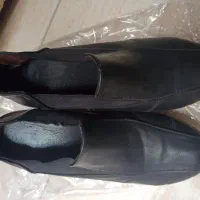 کفش زنانه|کیف، کفش، کمربند|شیراز, معالی‌آباد|دیوار