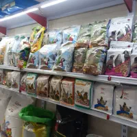 فنج نرگسی درجه یک|پرنده|اهواز, شهرک توسعه نیشکر|دیوار