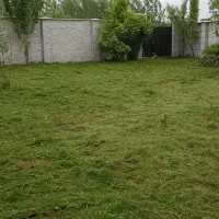 علف زنی و هرس کردن درختان با دستگاه