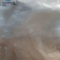 غذا ومکمل حلزون