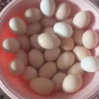 تخم مرغ محلی درجه یک وتازه