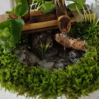 آب نما با گیاهان طبیعی