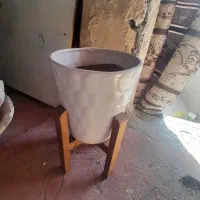 گلدان و پایه چوبی