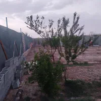 باغچه