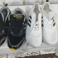 کیف وکفش