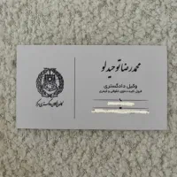 وکیل دادگستری
